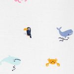 front view
